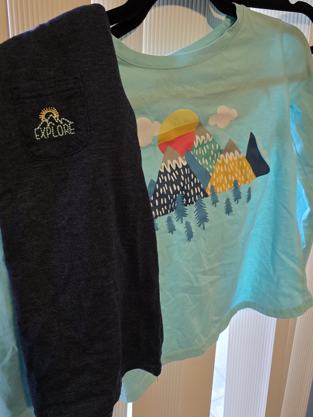 Set Of 2 Eddie Bauer Long Sleeve Shirts - Graphic Mountain Tee  Navy & Teal NWOT